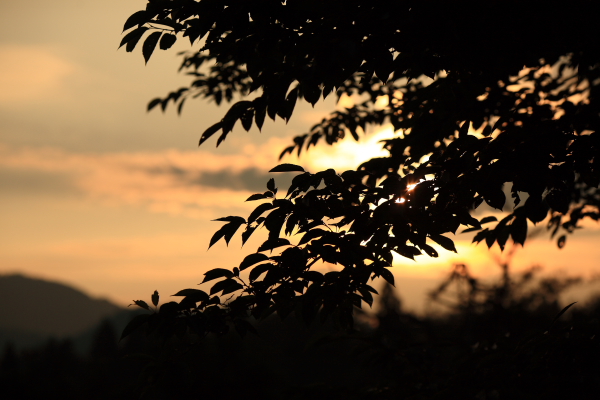 e0121814_00351.jpg