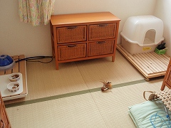 c0145016_2012769.jpg