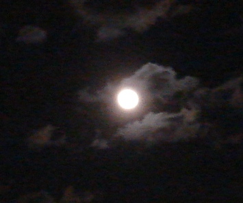 d0148019_422127.jpg