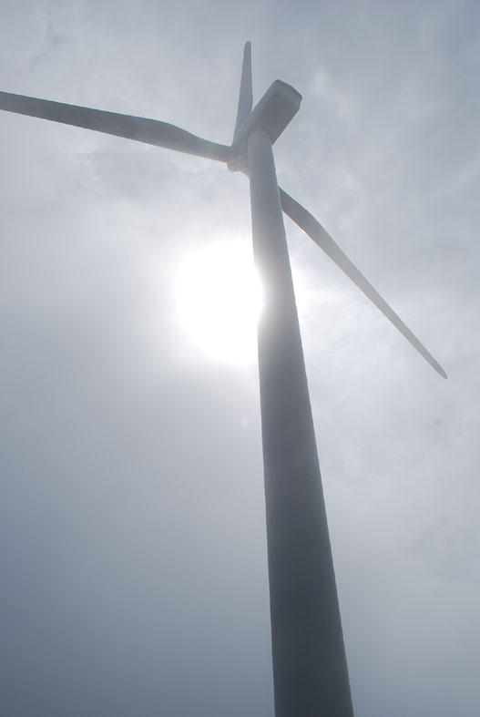 c0104225_224451.jpg