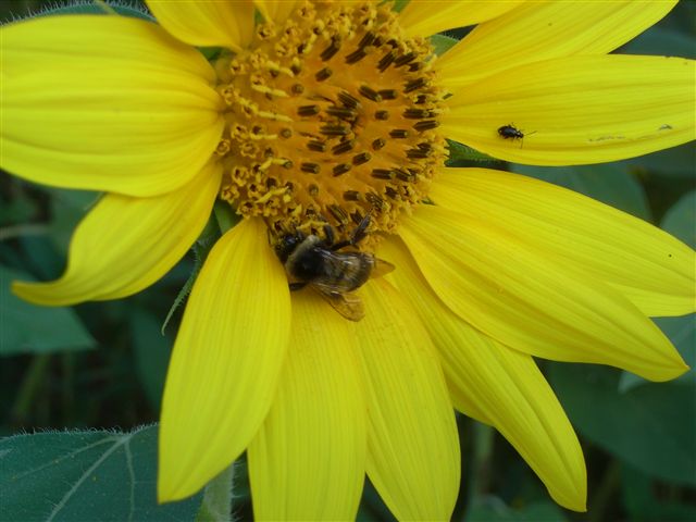 b0102639_2339115.jpg