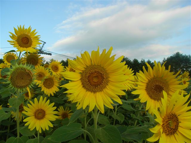 b0102639_23393877.jpg
