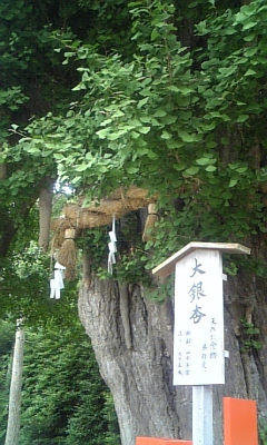 d0067640_2212142.jpg