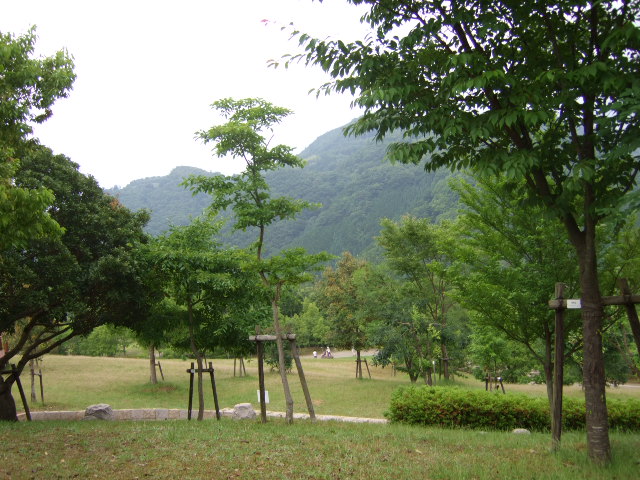 e0088654_157167.jpg