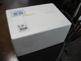 a0075455_645021.jpg