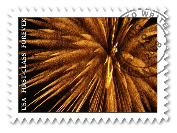 f0179061_11363996.jpg