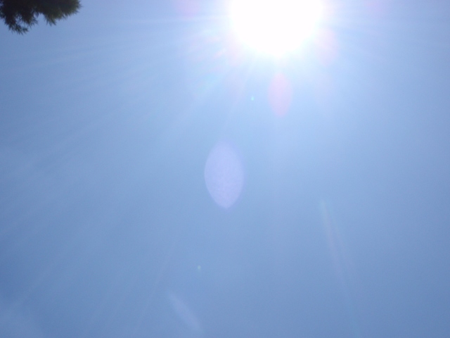 c0134862_9503918.jpg