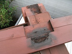 b0061863_654546.jpg