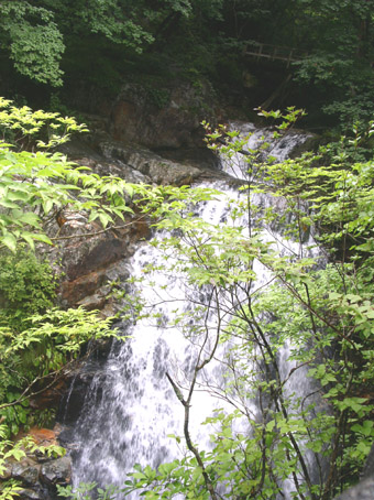 e0118274_16441033.jpg
