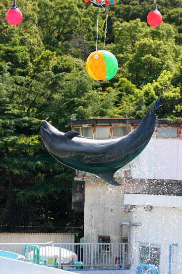 b0115579_014236.jpg