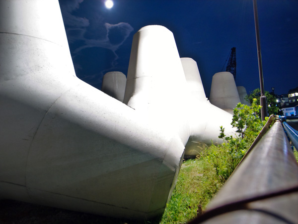 d0089281_114599.jpg