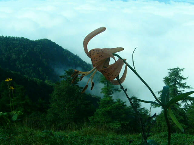 e0145782_19141644.jpg