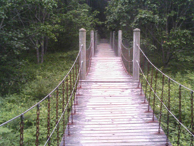b0127783_1105521.jpg
