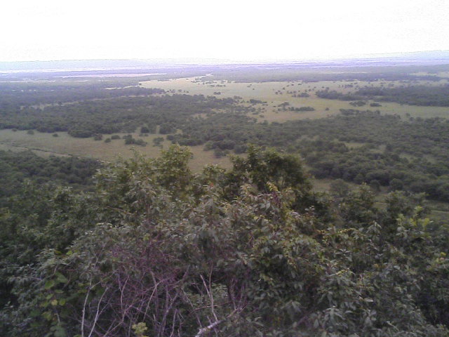 b0127783_21375588.jpg