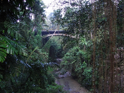 b0101284_2040582.jpg