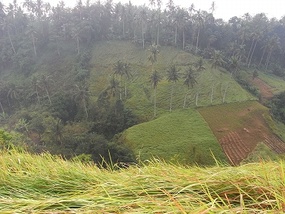 b0101284_21161182.jpg