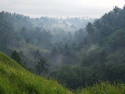 b0101284_21192546.jpg
