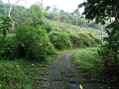 b0101284_2121344.jpg