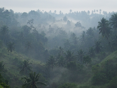 b0101284_21254680.jpg