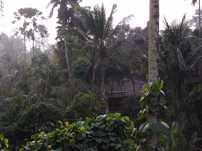 b0101284_2142449.jpg