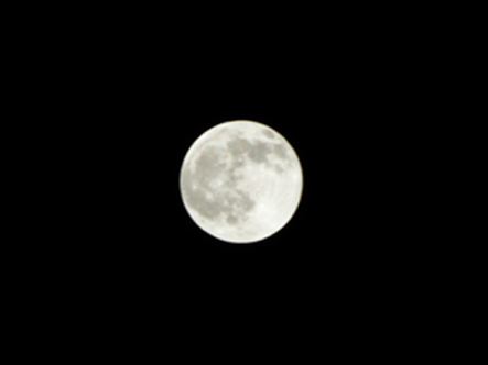 b0121884_23114647.jpg