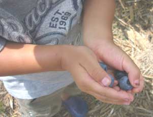 f0140984_1844265.jpg