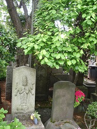 c0105785_904648.jpg