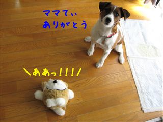 e0121589_8321173.jpg