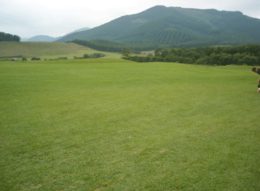 b0032694_19131783.gif