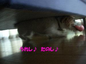 a0051402_1113336.jpg