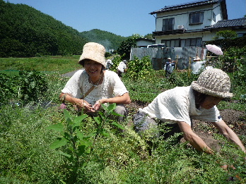 d0024504_20201349.jpg