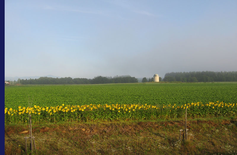 f0035016_7223122.jpg