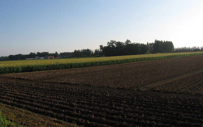 f0035016_7261463.jpg