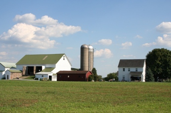 f0151222_128675.jpg
