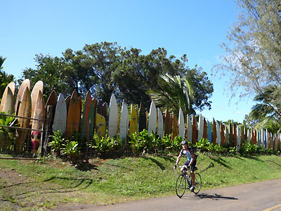 d0023725_3502125.jpg
