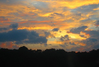 b0086427_10531219.jpg
