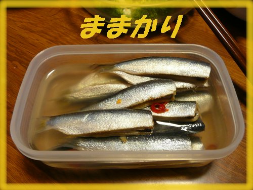 c0009528_2225140.jpg