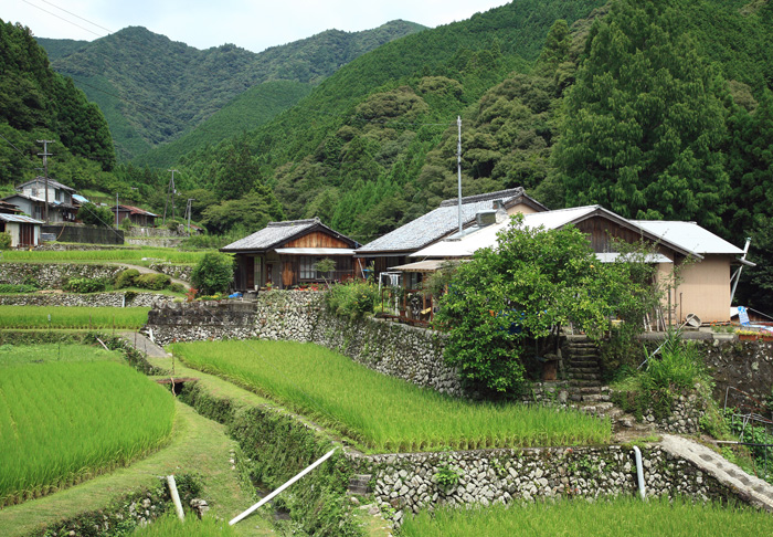 d0147530_52319.jpg