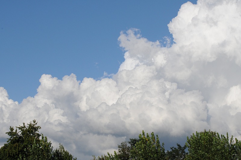 a0017634_13201435.jpg