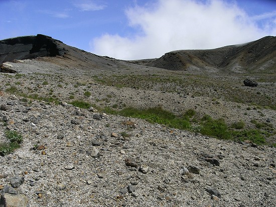 f0003138_1222351.jpg