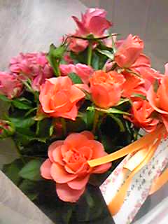 e0087443_2035599.jpg