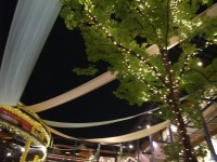 e0080345_15233563.jpg