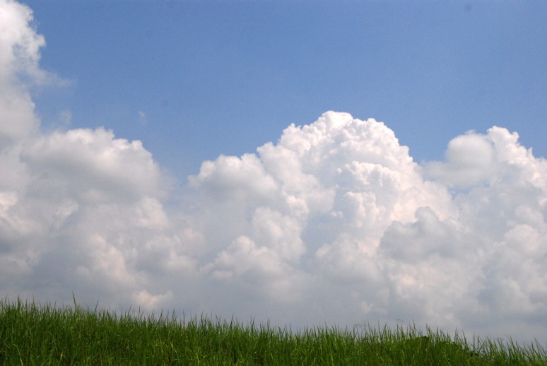 e0009147_113029.jpg