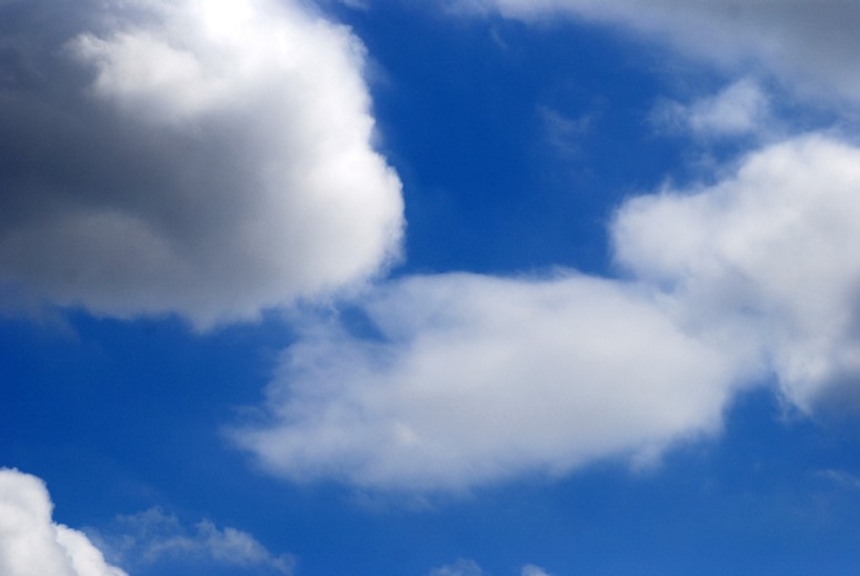 e0009147_11342077.jpg