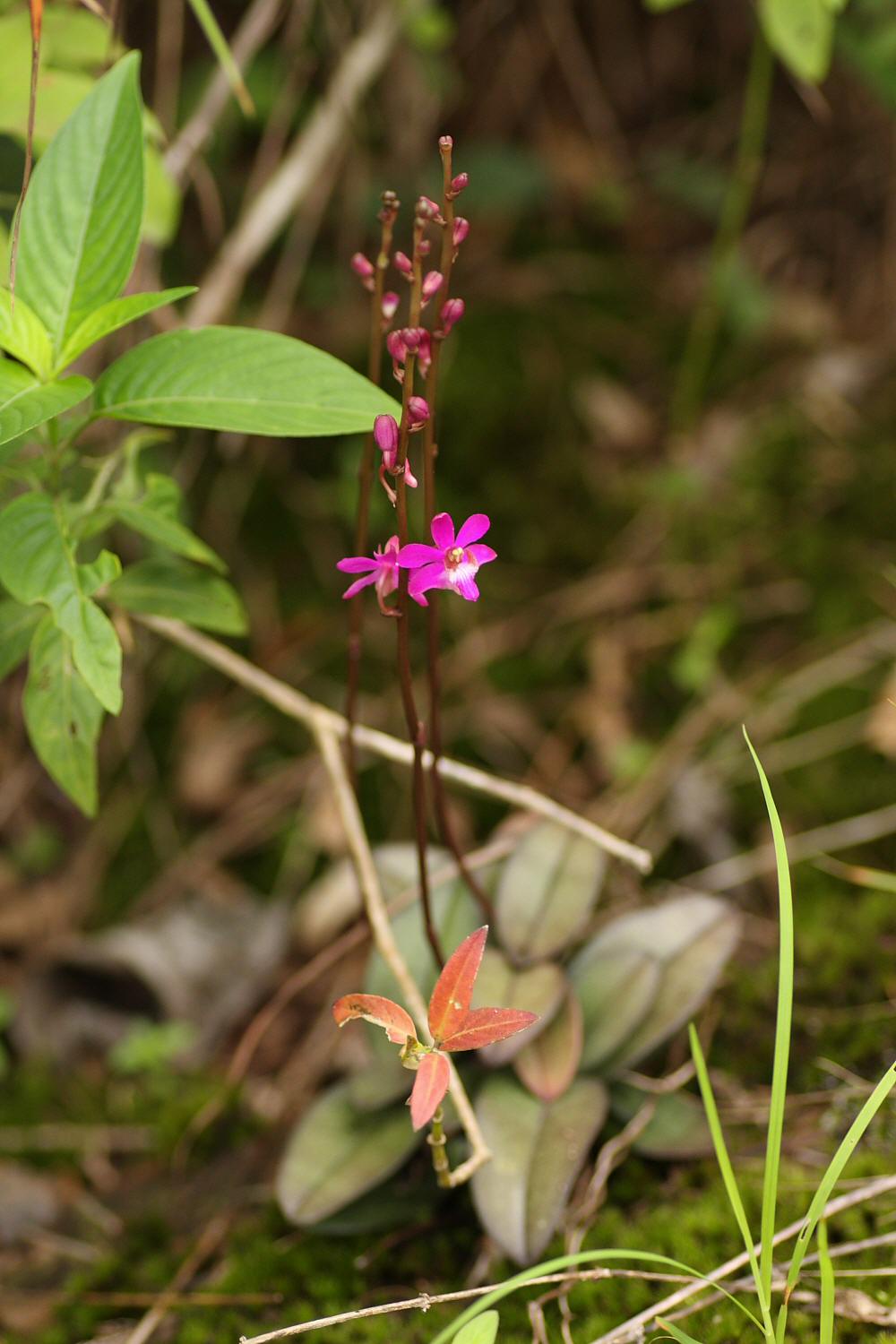 a0094850_20381159.jpg