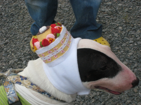 c0073152_16203275.jpg
