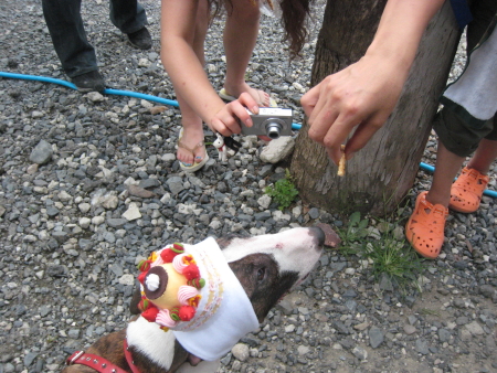c0073152_164180.jpg