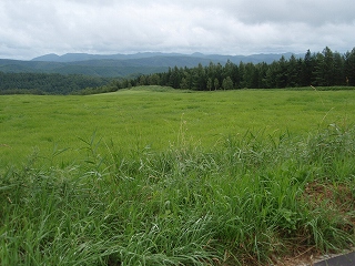 e0004756_21163291.jpg