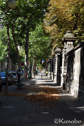 f0099556_128232.jpg