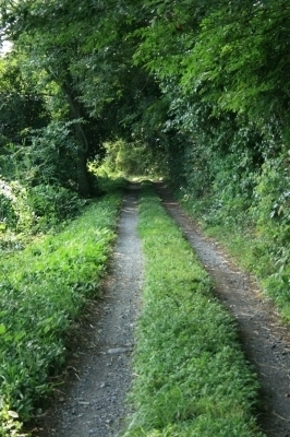 e0057760_20491186.jpg
